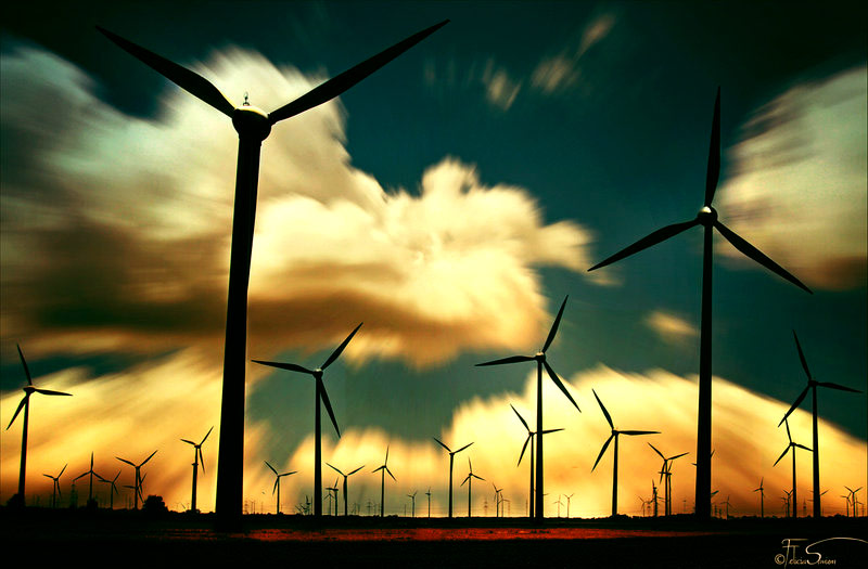 攻击网站服务器